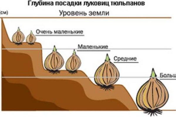 Кракен сообщество