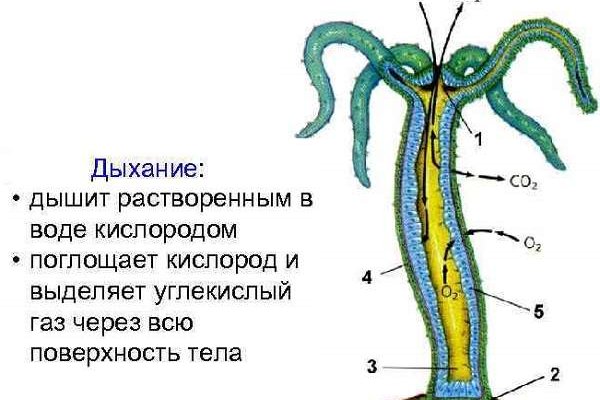 Solaris site