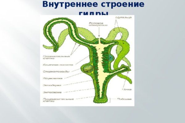 Кракен актуальная ссылка